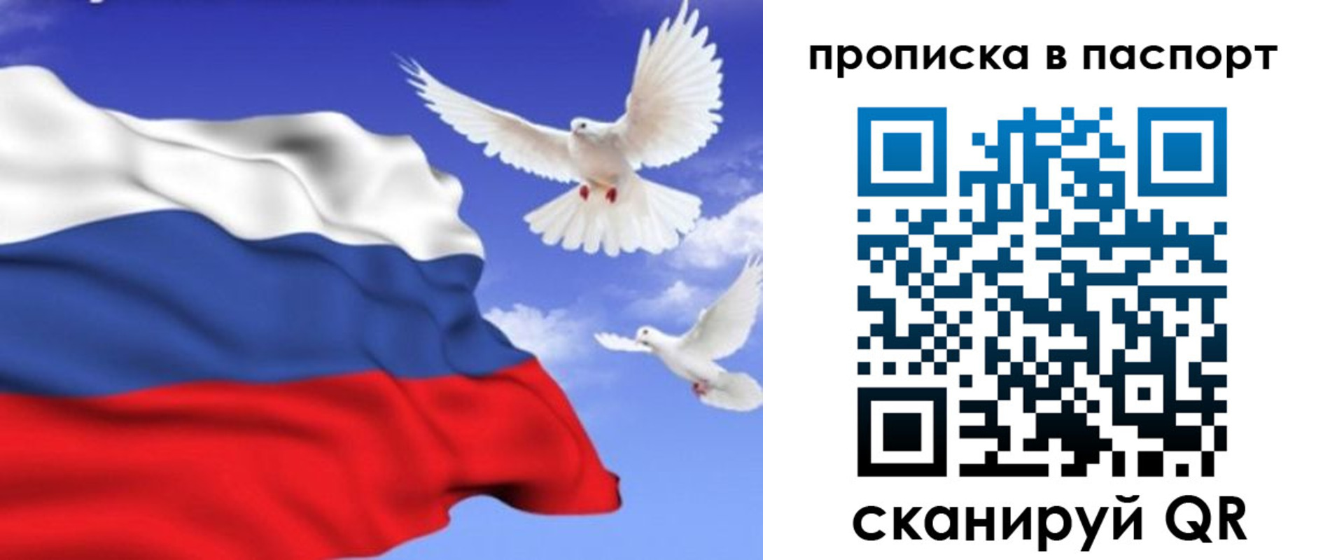 временная регистрация для всех в Новочебоксарске